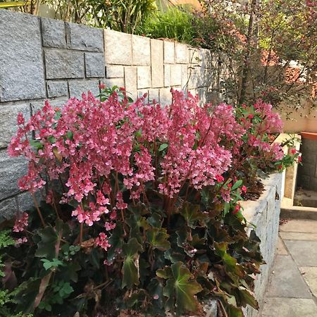Robin Woods Homestay 사클레시푸르 외부 사진