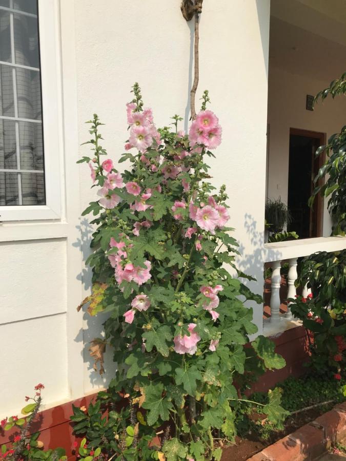 Robin Woods Homestay 사클레시푸르 외부 사진